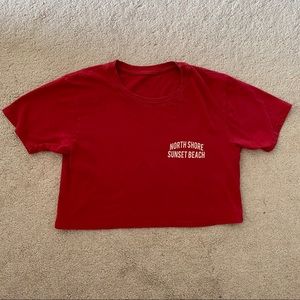 Brandy Melville North Shore Crop Top